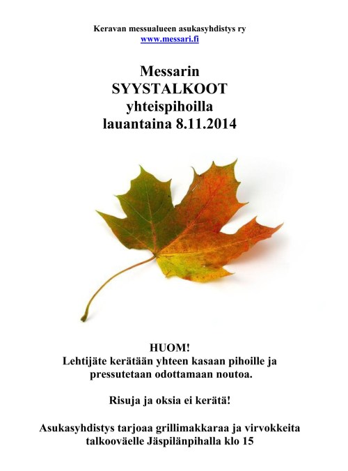 Messari-syystalkoot2014