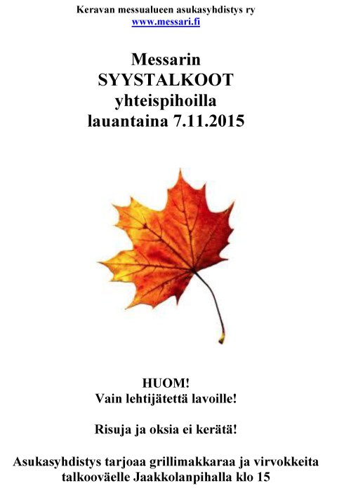 Messari-syystalkoot2015